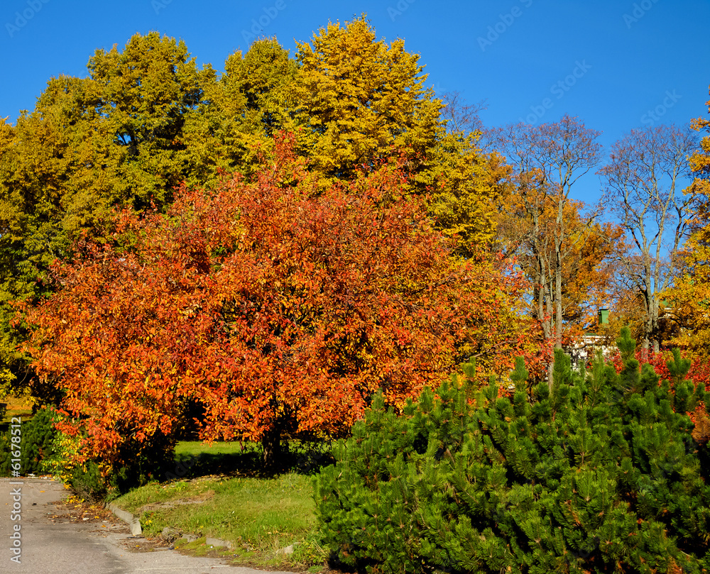 Fototapeta premium Oasis in the city