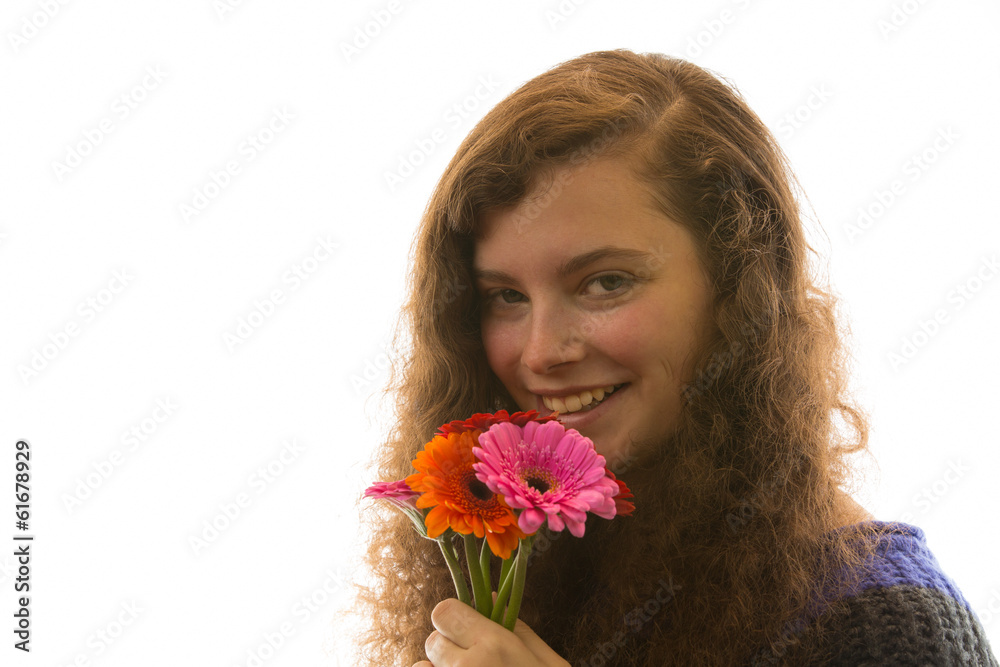 Naklejka premium Dag Gerbera m 3