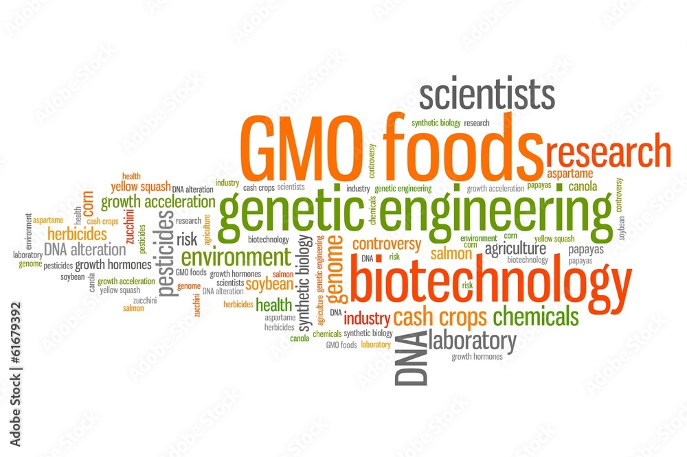 Fototapeta premium Genetic food engineering - conceptual word cloud