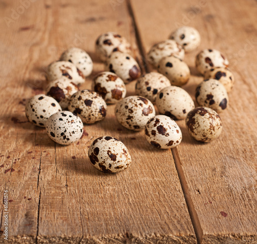 Quail eggs