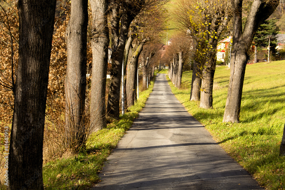 long way in autumn long way in autumn