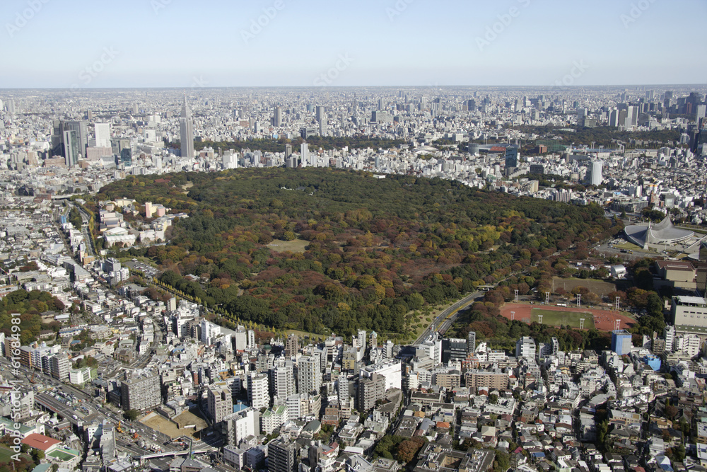 Obraz premium Aerial view of Shinjuku areas