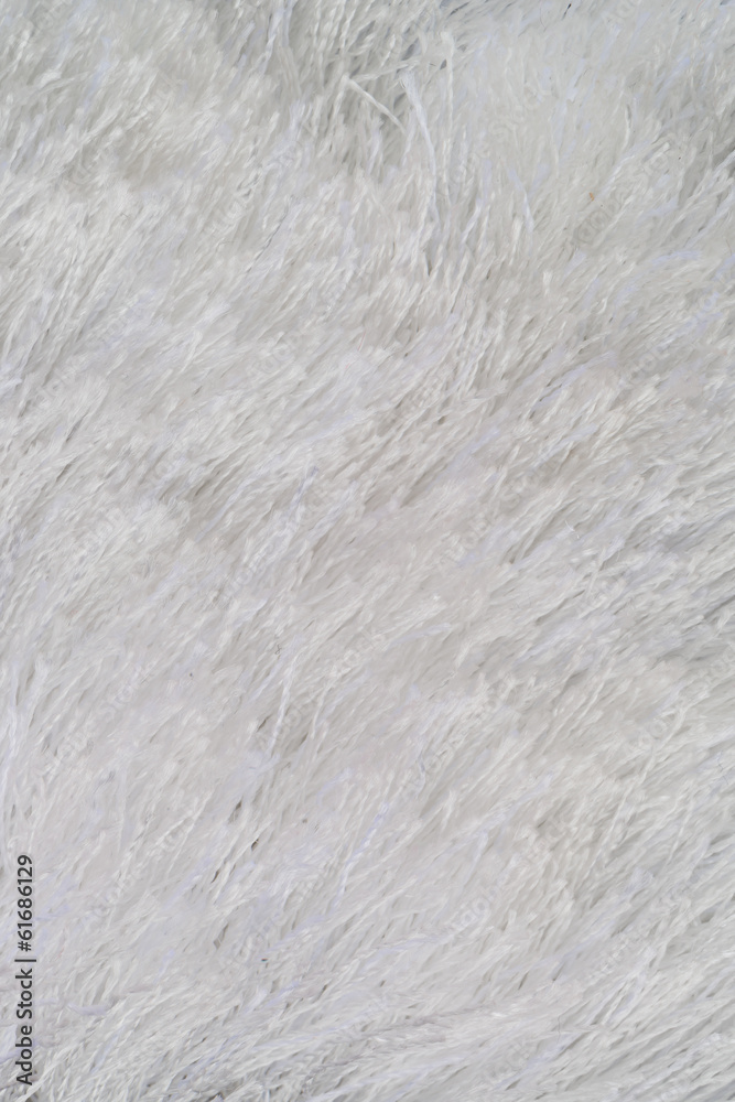 White fur White fur