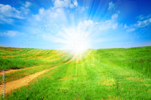 Field of grass,blue sky and sun. © fotomaximum