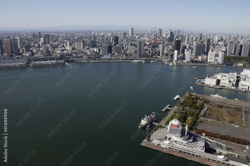 Aerial view of Harumi areas