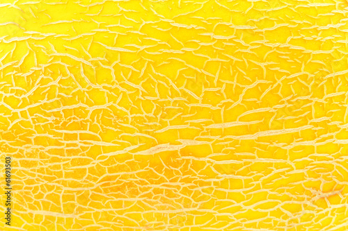 tha pattern of Hami melon