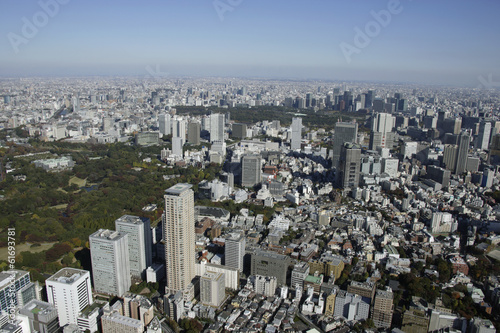 Aerial view of Aoyama areas