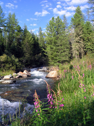 The taiga river.