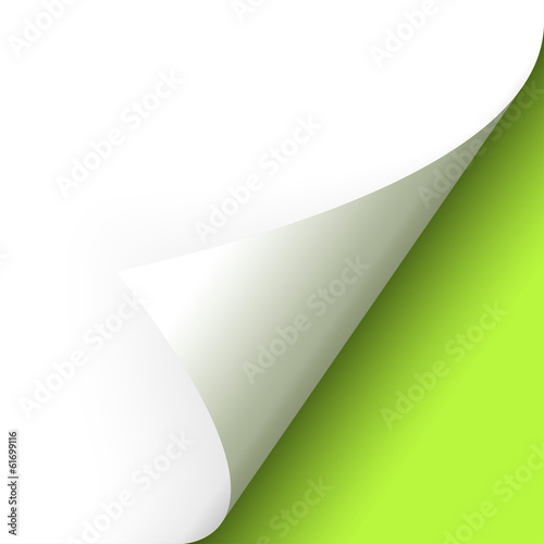 Papier - Ecke unten grün