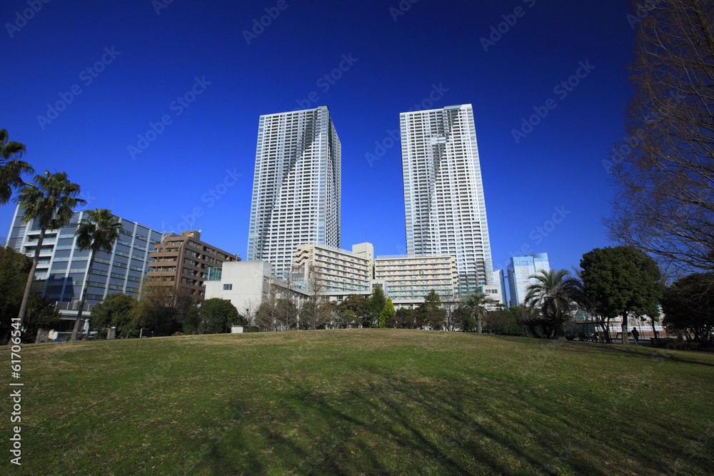 Cityscape and Skyscrapers in Harumi