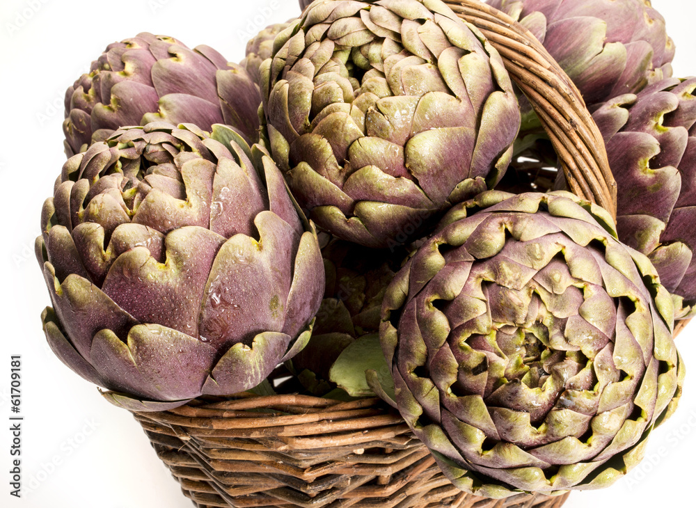 Obraz premium artichoke