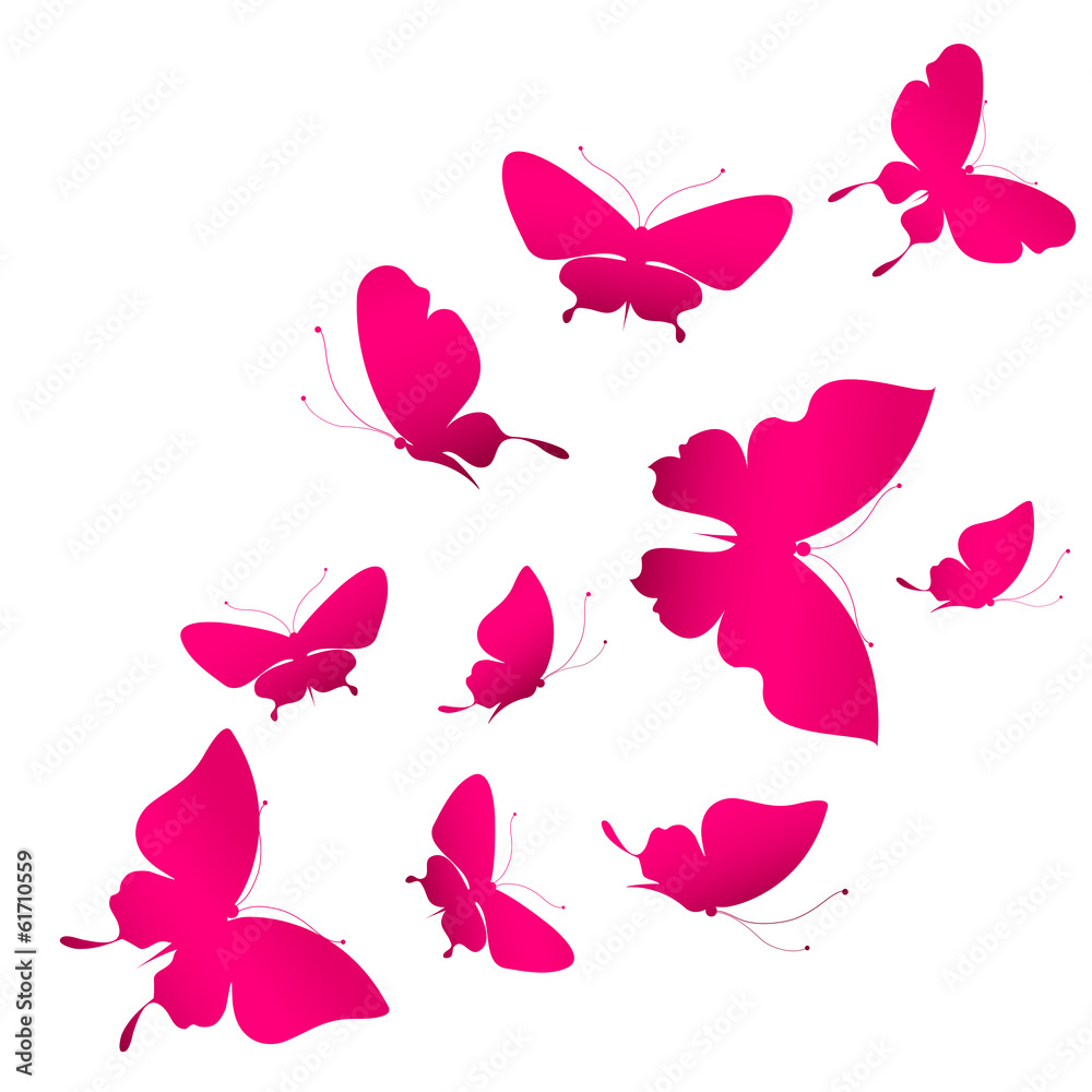 butterflies design butterflies design