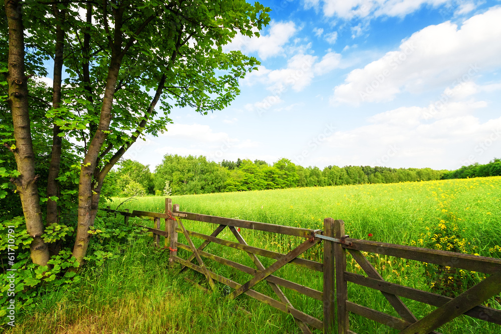 Fence in the green field under blue sky
