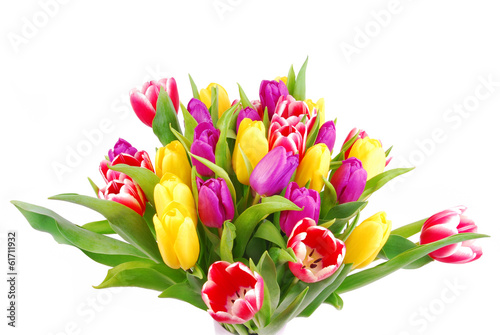 tulip bouquet isolated on white