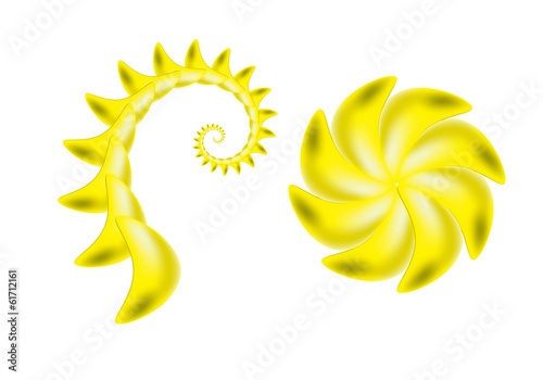 Scorpion sting and flower