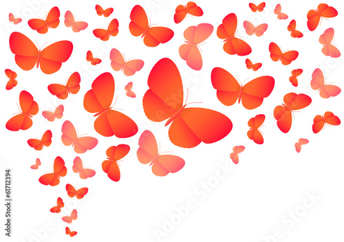 Colorful vector butterflies on white