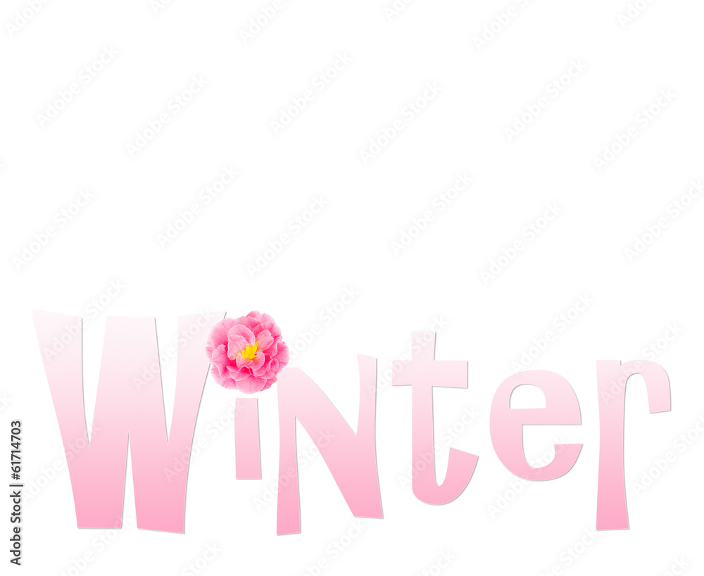 Winter text with camellia flower