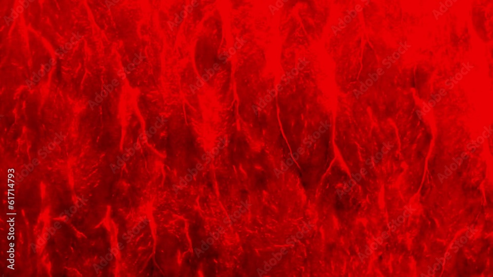 Abstract fluid Motion in red Abstract fluid Motion in red