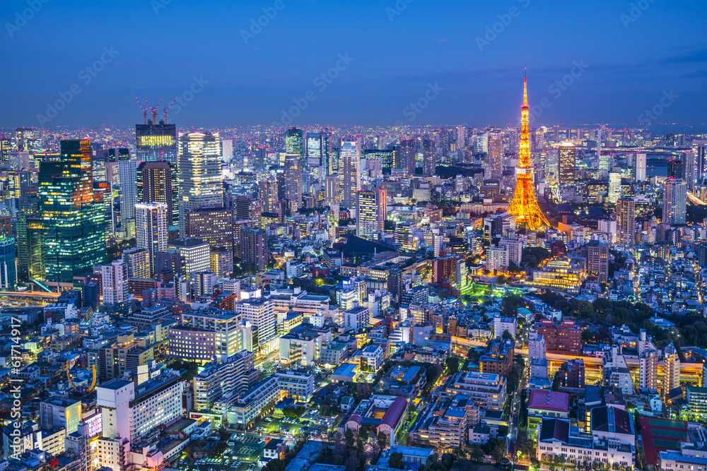 Fototapeta premium Tokyo Cityscape