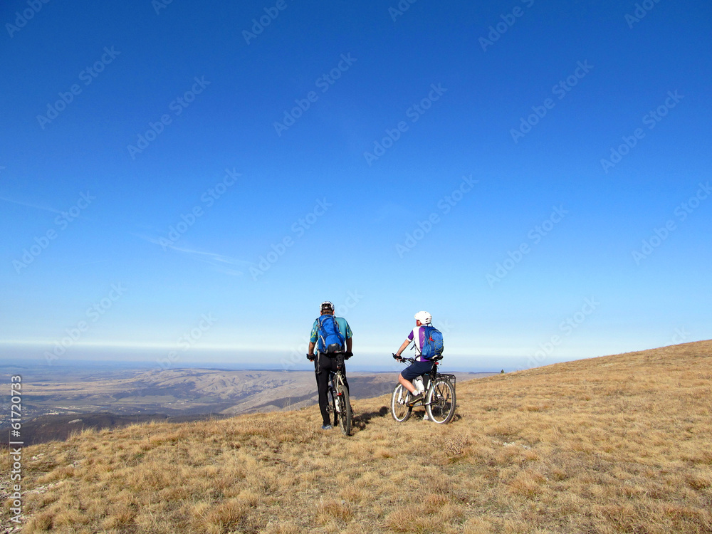 mountain bike