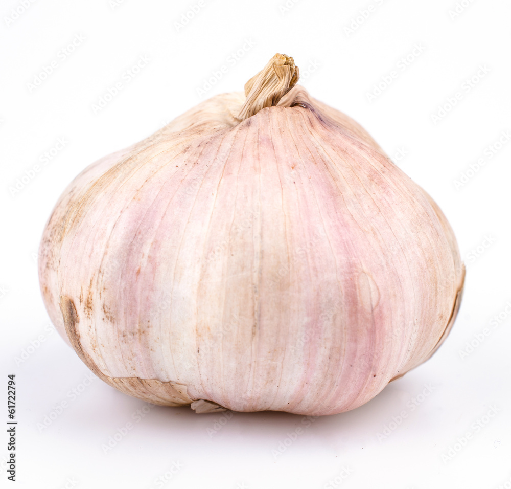 Obraz premium Garlic