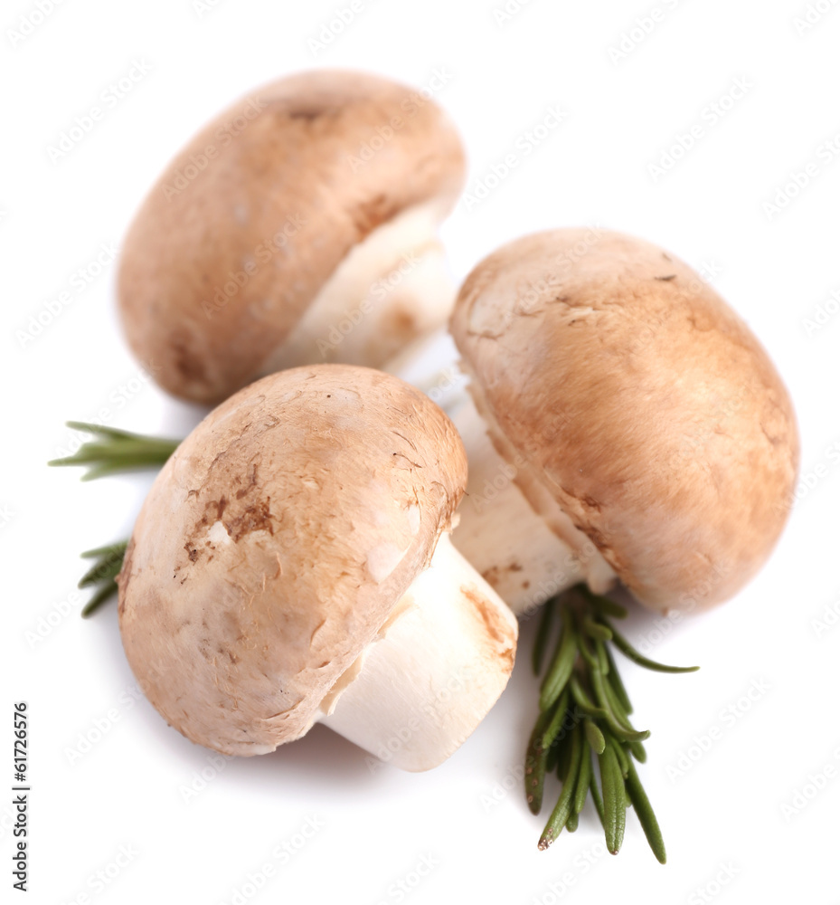 Fresh mushrooms isolated on white Fresh mushrooms isolated on white