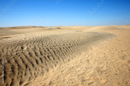 Dunes in Sahara