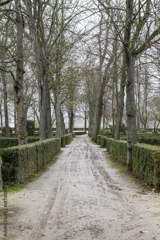 beautiful gardens Palace of Aranjuez, Madrid, Spain