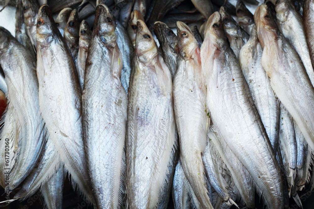 Fototapeta premium Fresh fish in the market.