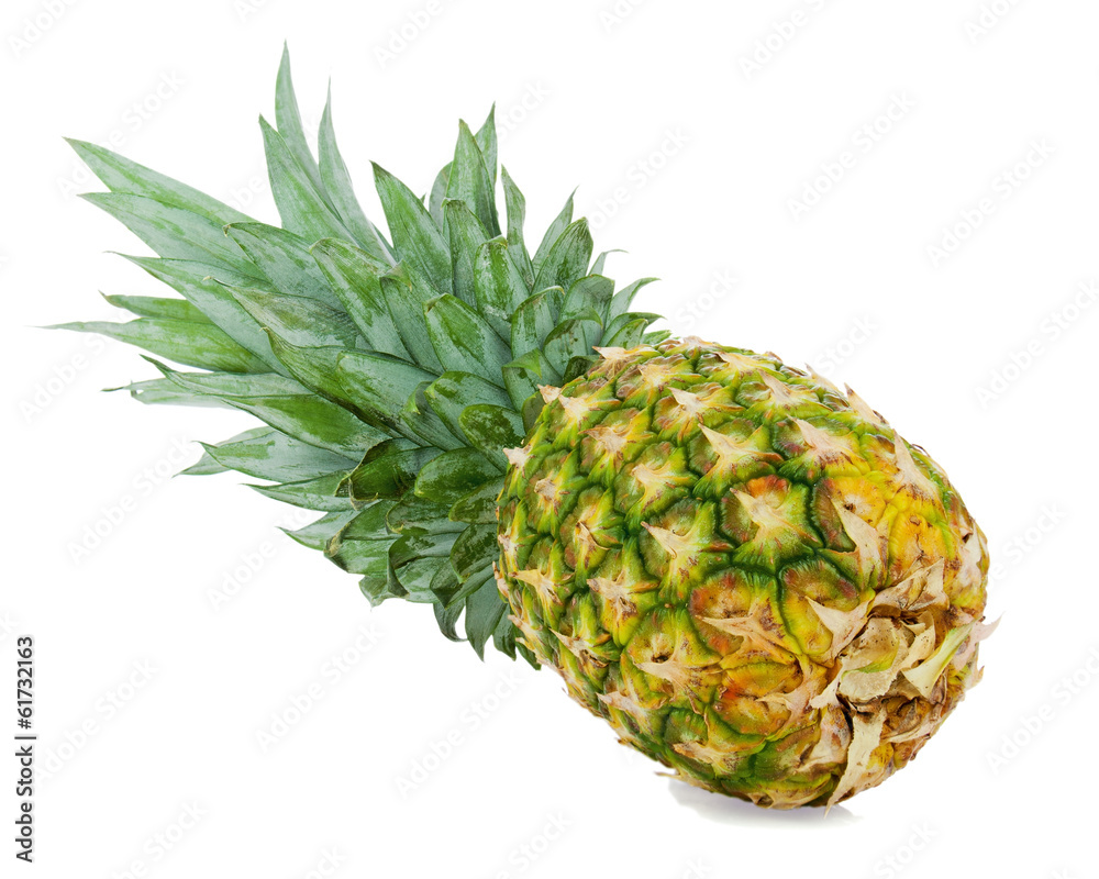 Ripe whole pineapple isolated on white background. Ripe whole pineapple isolated on white background.