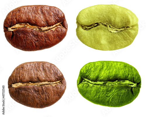 Black and green arabica, robusta coffee bean, grain isolated on