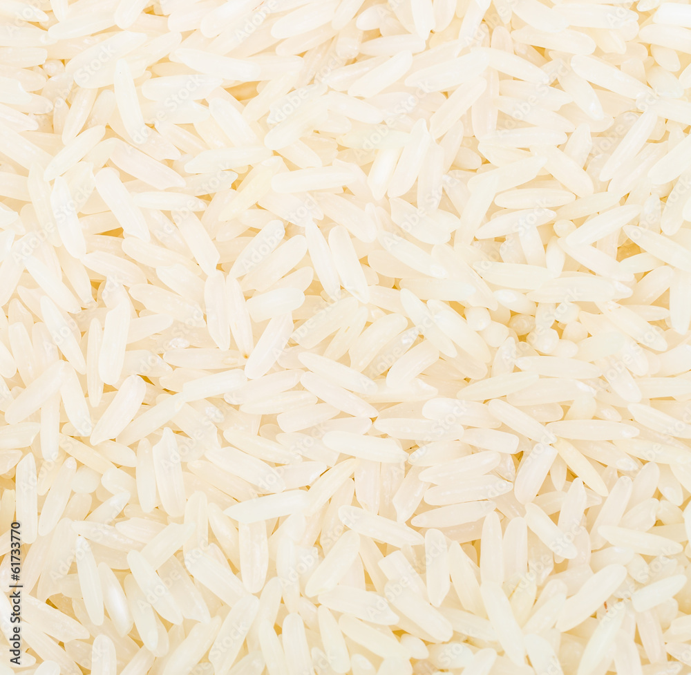 Rice Rice