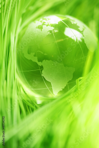 Fototapeta Naklejka Na Ścianę i Meble -  Glass globe in leaves