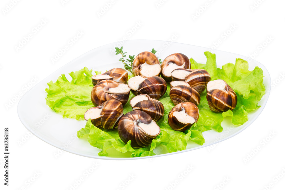 Escargot Escargot