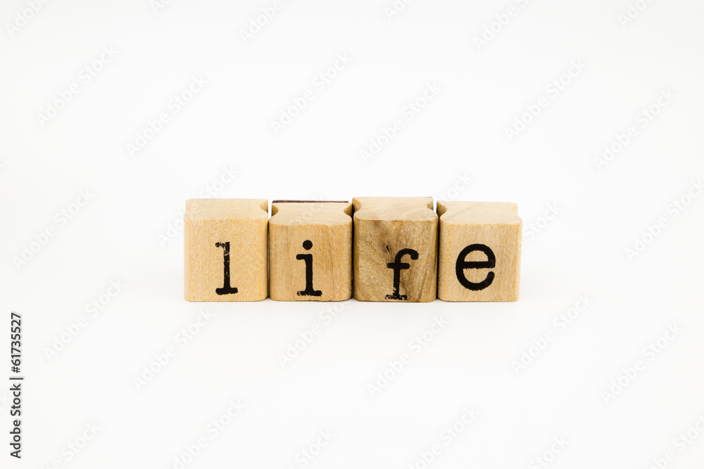 life wording isolate on white background life wording isolate on white background