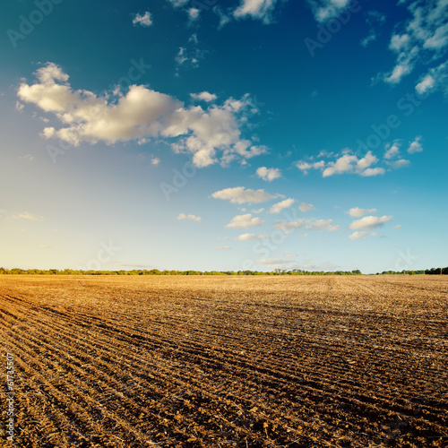 black field after harvesting and blue cloudy sky