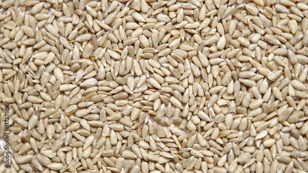 Sunflower seeds are spinning on a table. Sunflower seeds are spinning on a table.