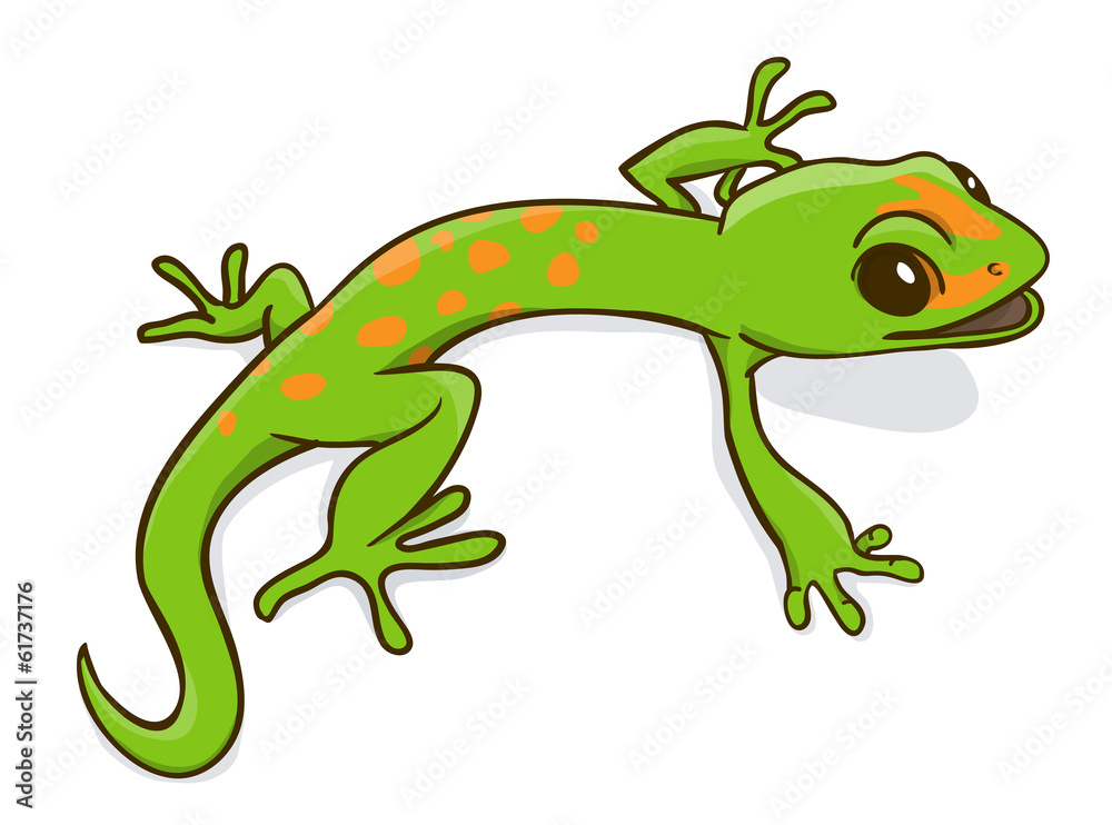 Obraz premium Gecko phelsuma