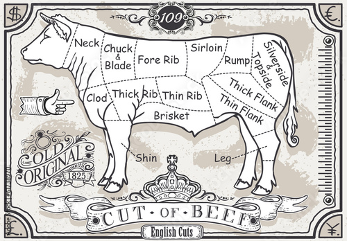 Chalk Charcoal Crayon Hand Drawing Vector Butchery Blackboard Butcher Shop Store Signage Set Antique Food Etching Typography Meat Cut Scheme. Vintage Etched Beef Drawn Chalkboard Pub Grill Black Board
