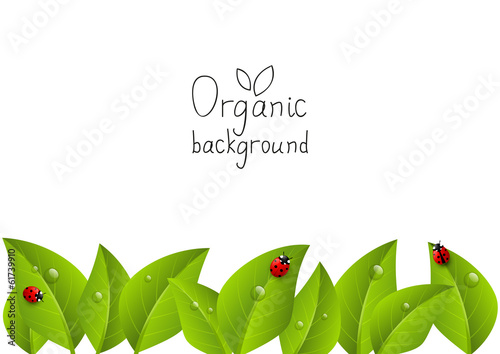 Organic background with place for text