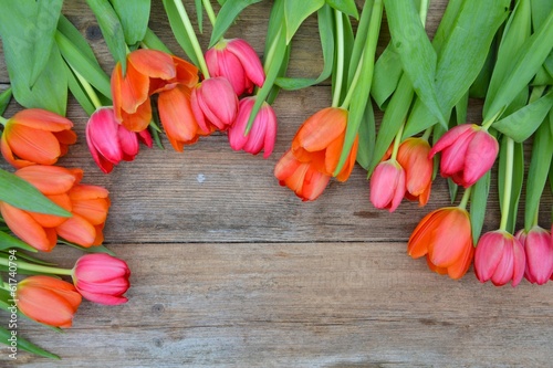 Holzuntergrund mit Tulpen