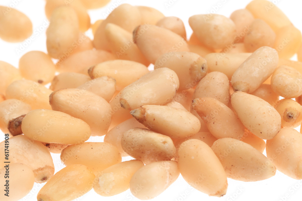 Bunch of pine nuts. Close up. Bunch of pine nuts. Close up.