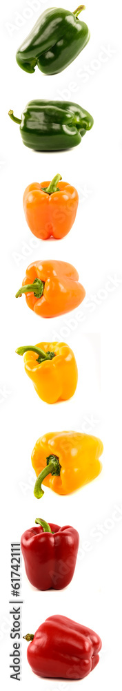 Sweet bell pepper set of four different colors and foreshortenin Sweet bell pepper set of four different colors and foreshortenin