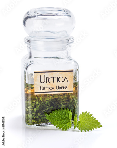 Urtica Urens plant extract photo