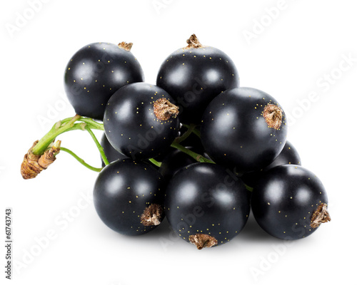 Black currants