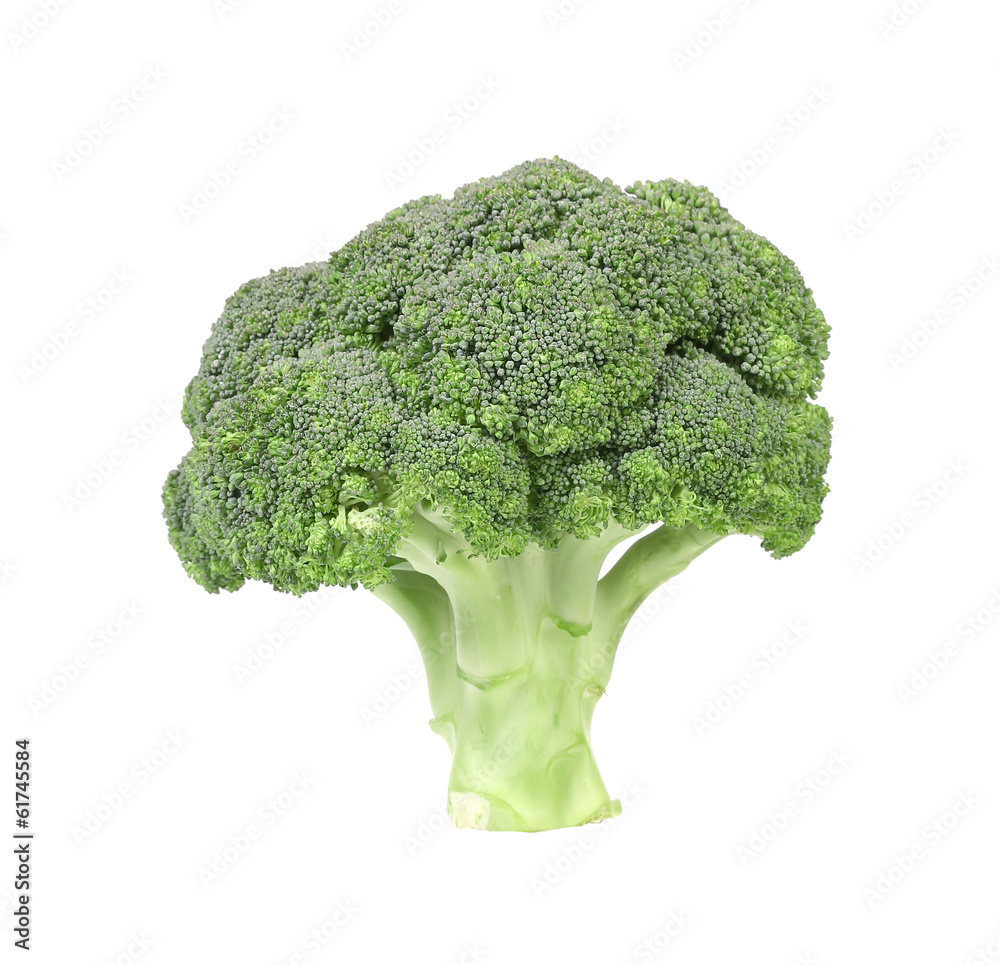 Fresh broccoli vegetable.