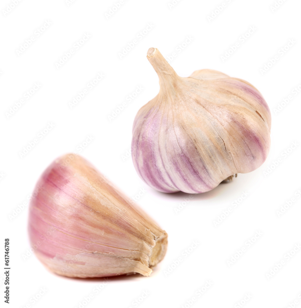Fototapeta premium Garlic isolated on white background