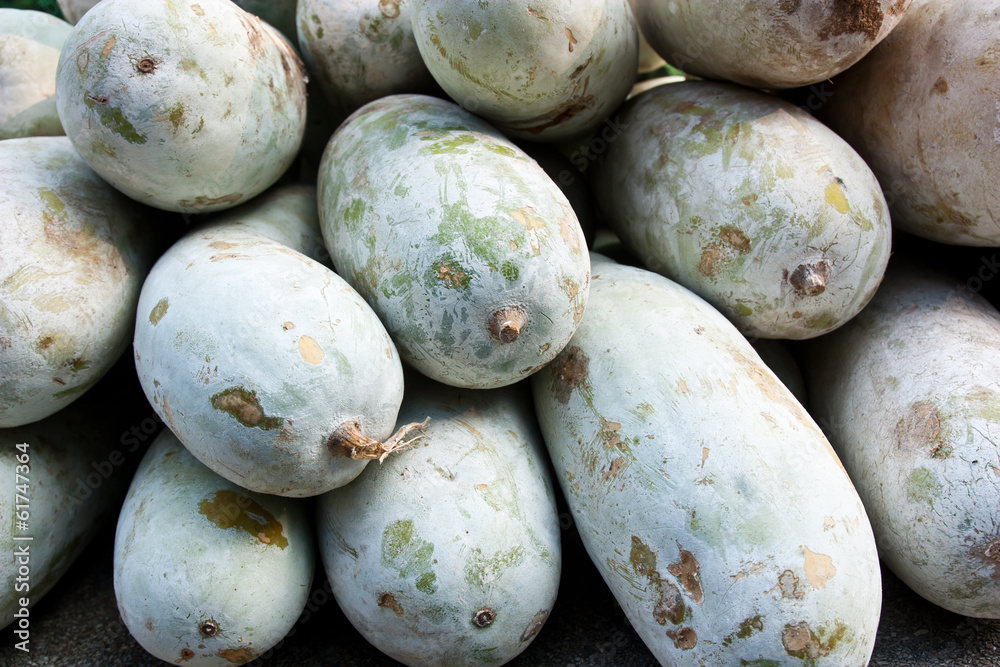 Gourd drums (Benincasa hispida, winter melon) Gourd drums (Benincasa hispida, winter melon)