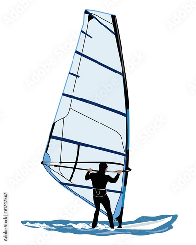 illustration of windsurfer