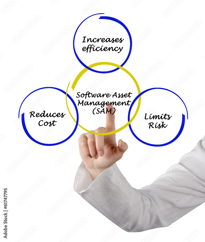 Software Asset Management Software Asset Management